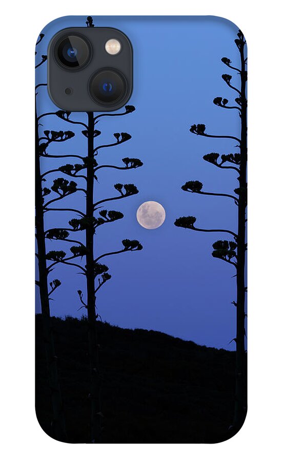 Tranquility iPhone 13 Case featuring the photograph The Moon Rising Between Agave Trees by Luis Argerich/stocktrek Images