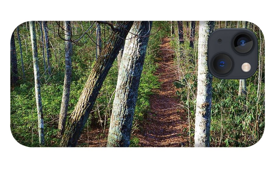 Woods iPhone 13 Case featuring the photograph The Path by Stacie Siemsen