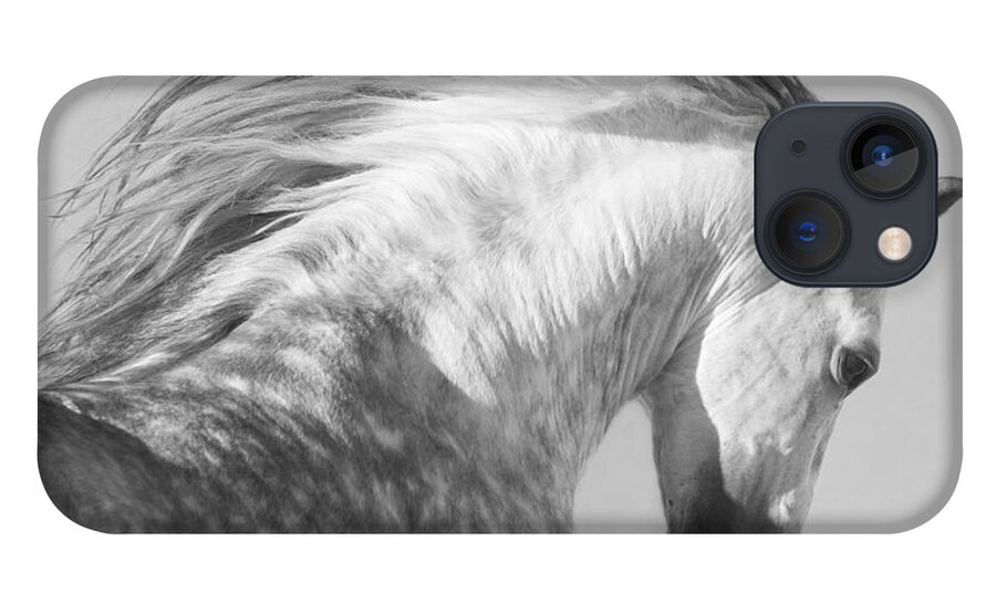 Horse iPhone 13 Case featuring the photograph The Spanish Stallion Tosses His Head by Carol Walker