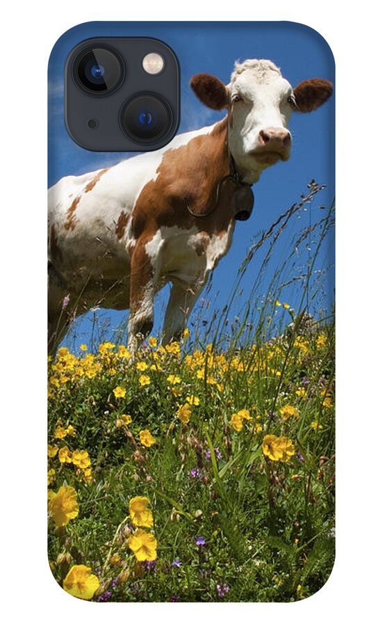 Happy iPhone 13 Case featuring the photograph Think Milk by Edmund Nagele FRPS