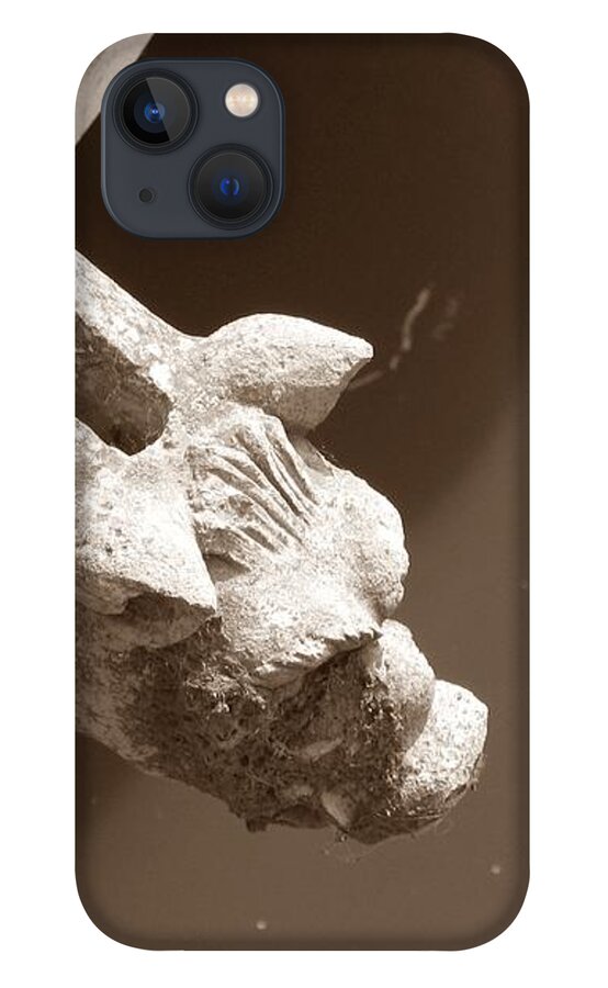 Gargoyle iPhone 13 Case featuring the photograph Thirsty Gargoyle - Sepia by HEVi FineArt