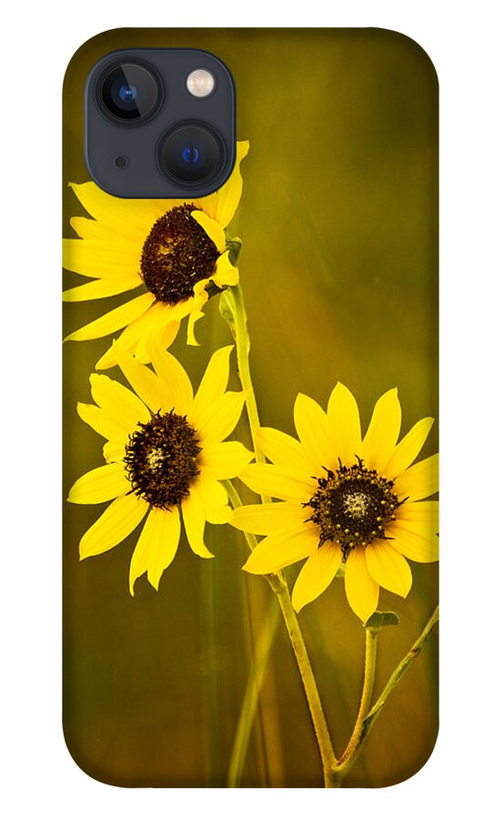 Black Eyed Susan iPhone 13 Case featuring the photograph A Trio Of Black Eyed Susans by Gary Slawsky