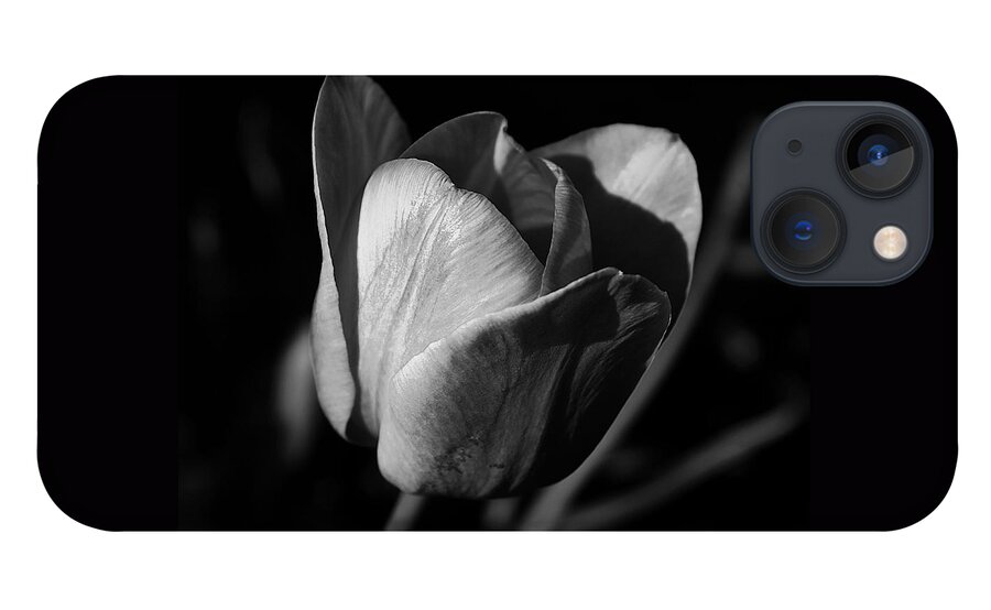 Midwest America iPhone 13 Case featuring the photograph Threshold - Monochrome by Frank J Casella