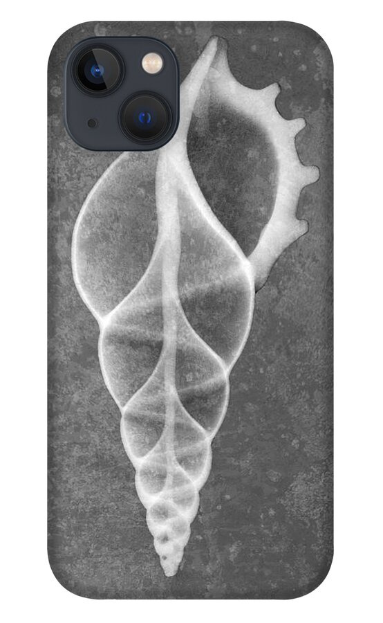 X-ray Art iPhone 13 Case featuring the photograph Tibia Sea Shell X-ray Art by Roy Livingston