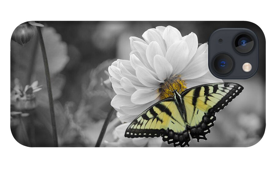 Tiger Butterfly iPhone 13 Case featuring the photograph Tiger Butterfly by GeeLeesa Productions