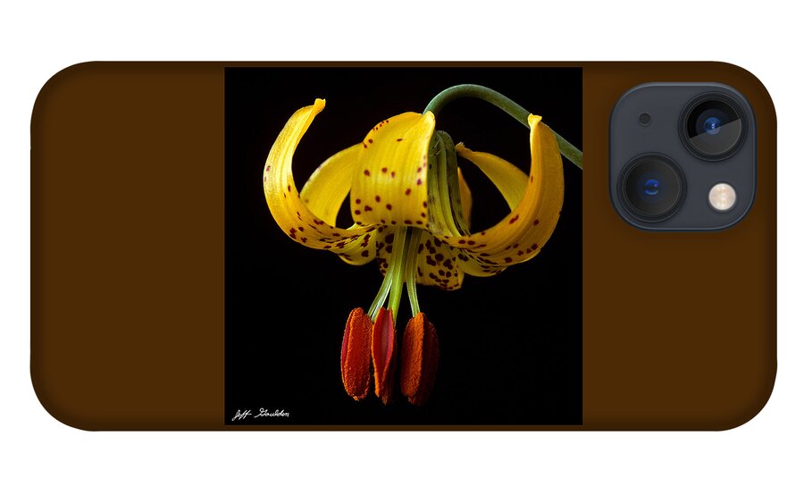 Beauty In Nature iPhone 13 Case featuring the photograph Tiger Lily by Jeff Goulden