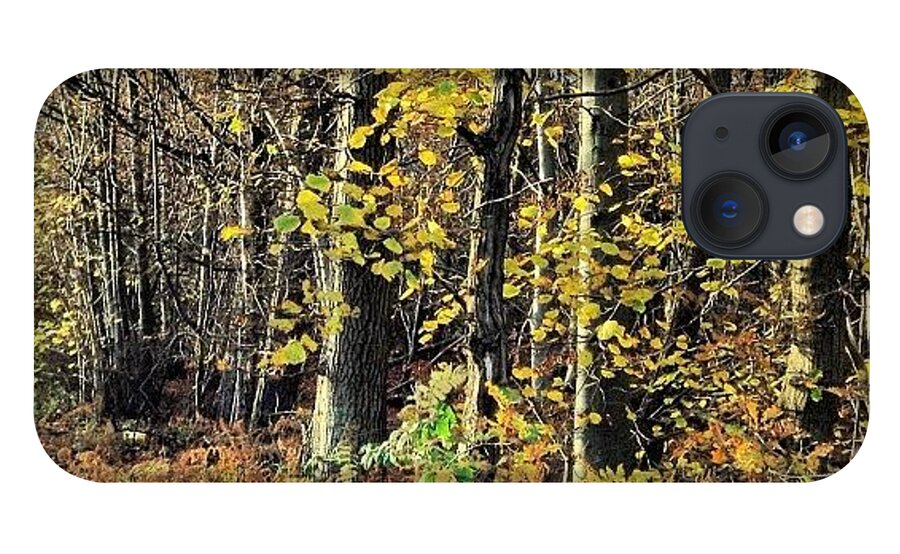 Squirrell iPhone 13 Case featuring the photograph To The Woods by Nic Squirrell