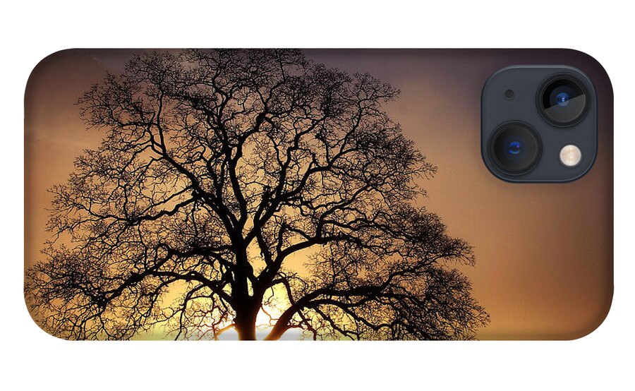 Tree iPhone 13 Case featuring the photograph Tree At Sunrise In The Fog by Robert Woodward