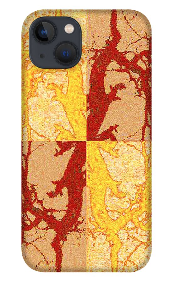 Abstract iPhone 13 Case featuring the photograph Tree Dance by Christopher Byrd