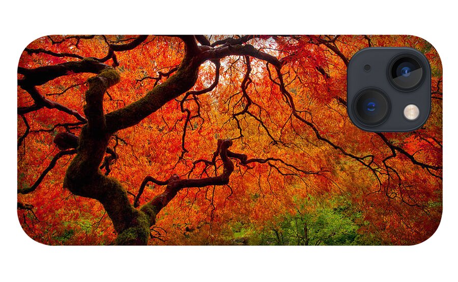 #faatoppicks iPhone 13 Case featuring the photograph Tree Fire by Darren White