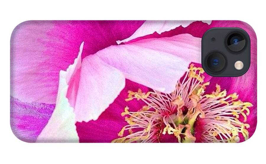 Ssemerge iPhone 13 Case featuring the photograph Tree Peony....what An Amazing Flower by Blenda Studio