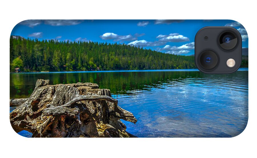 Tree iPhone 13 Case featuring the photograph Tree Stump by Thomas Nay
