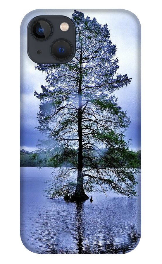 Bald Cypress Tree iPhone 13 Case featuring the photograph The Healing Tree - Trap Pond State Park Delaware by Kim Bemis
