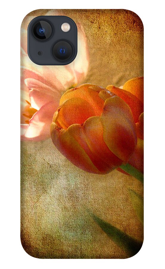 Tulips - Bill Voizin iPhone 13 Case featuring the photograph Tulips by Bill Voizin 