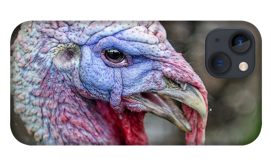 Turkey iPhone 13 Case featuring the photograph Turkey by Rick Mosher