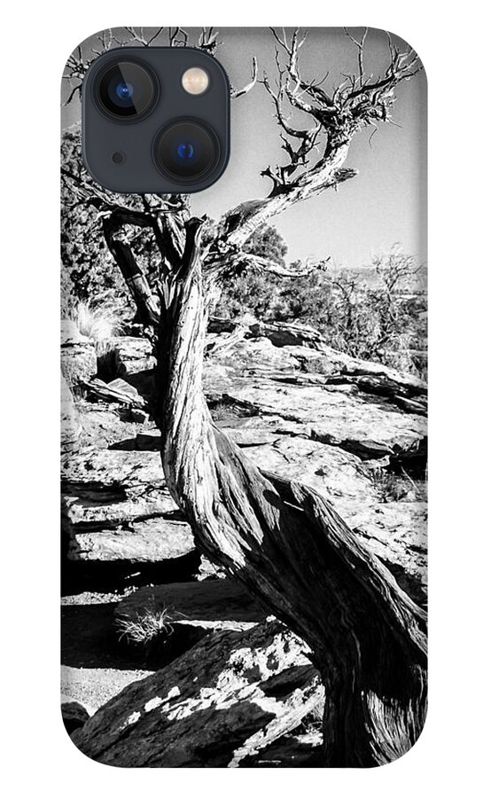 Jay Stockhaus iPhone 13 Case featuring the photograph Twisted by Jay Stockhaus