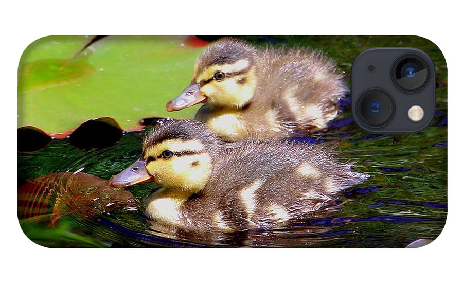 Ducklings iPhone 13 Case featuring the photograph Two Ducklings by Amanda Mohler