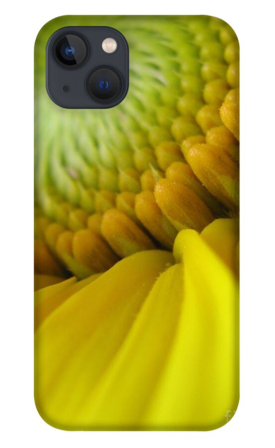 Flower iPhone 13 Case featuring the photograph Unity Photography by Holy Hands