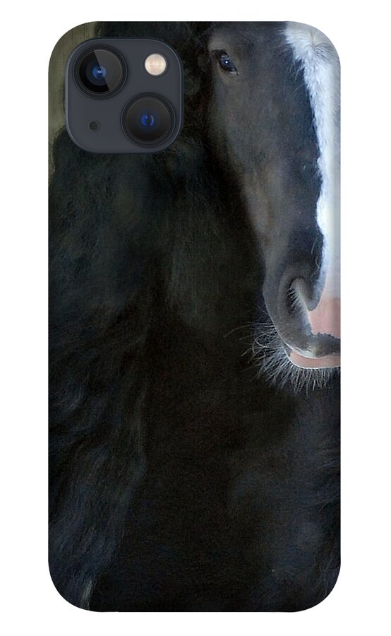 Gypsy Stallion iPhone 13 Case featuring the photograph Valentino Dreams by Fran J Scott