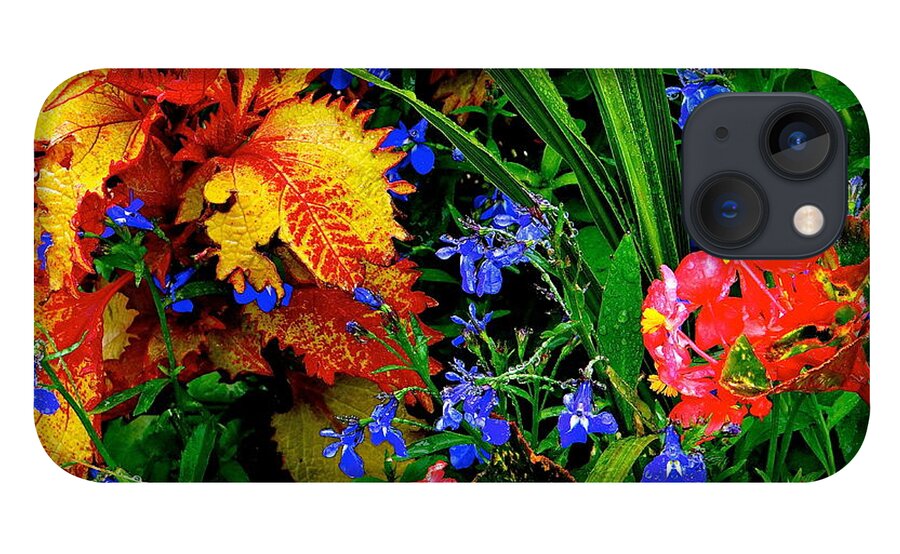 Gardens iPhone 13 Case featuring the photograph Van Gogh's Garden by Ira Shander