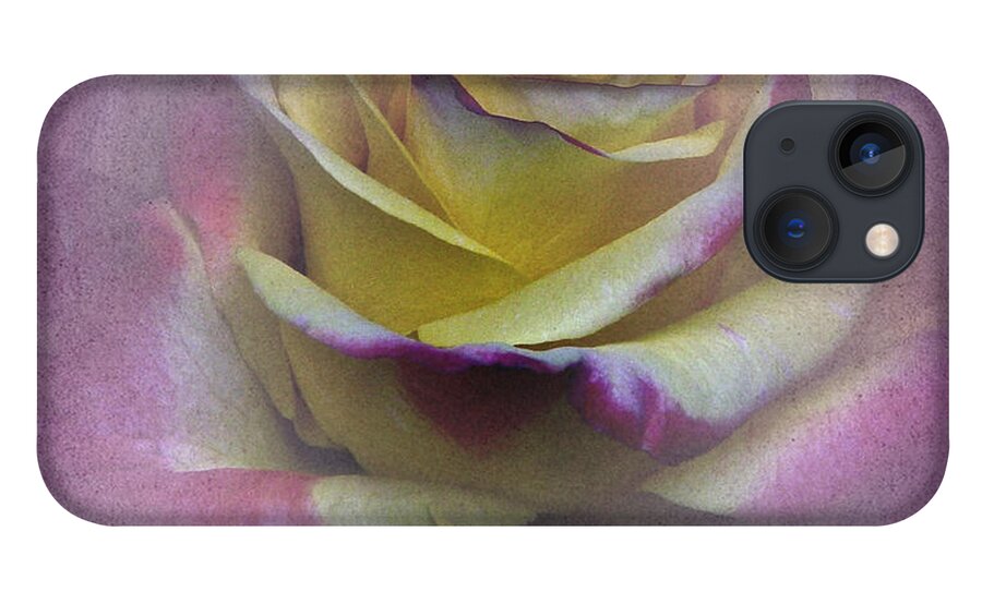 Rose iPhone 13 Case featuring the photograph Vintage January Rose by Richard Cummings