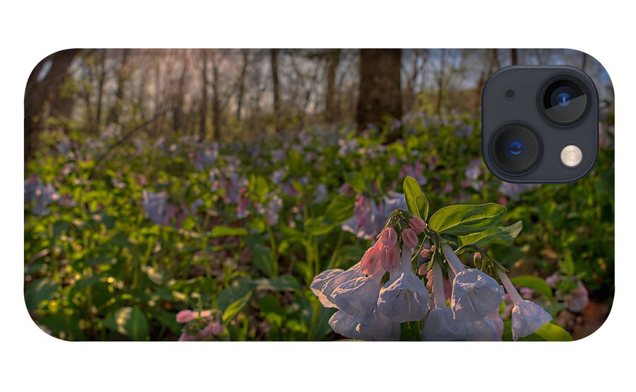 2012 iPhone 13 Case featuring the photograph Virgina Bluebells by Robert Charity
