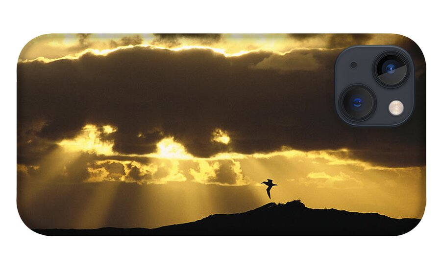 Feb0514 iPhone 13 Case featuring the photograph Wandering Albatross Over Drake Passage by Colin Monteath