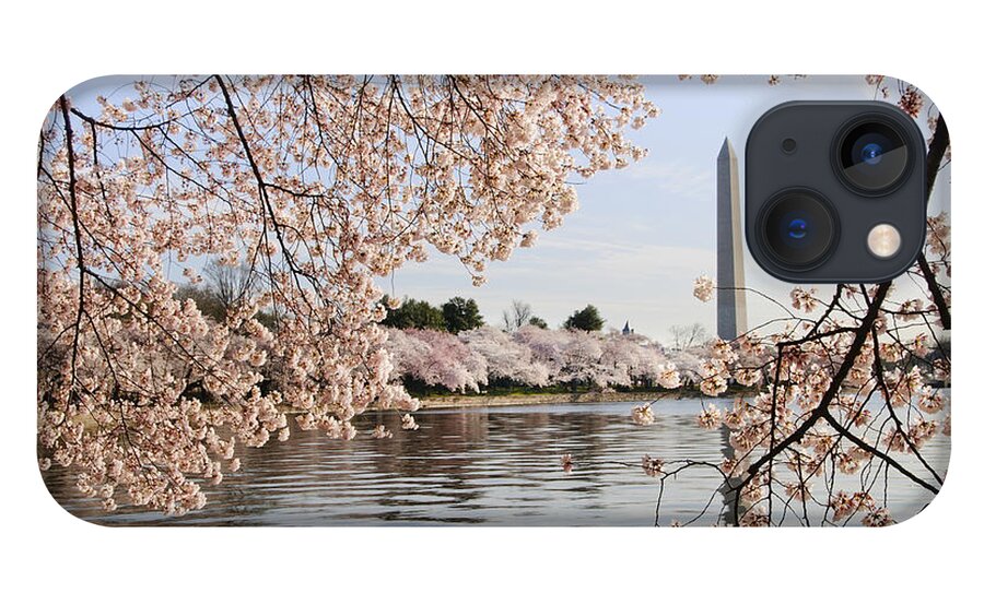 American Culture iPhone 13 Case featuring the photograph Washington DC cherry blossoms and monument by Oscar Gutierrez