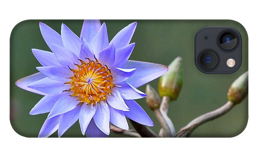 Flowers iPhone 13 Case featuring the photograph Water Lily Reflections by Kathy Baccari