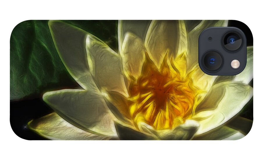 Lily iPhone 13 Case featuring the photograph Water Lily by Yvonne Johnstone
