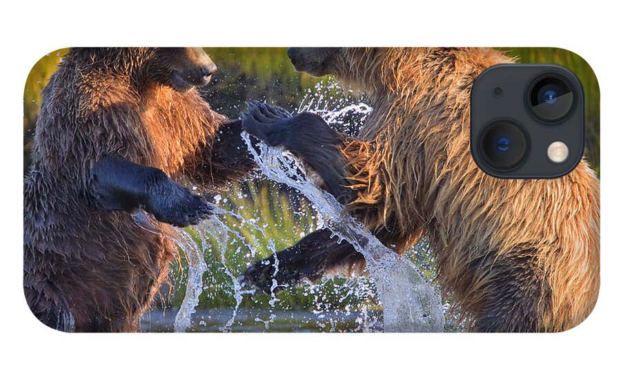 Alaskan Brown Bears iPhone 13 Case featuring the photograph Watering Hole Dispute by Aaron Whittemore
