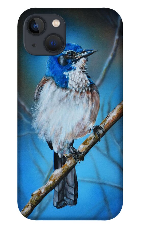 Western Scrub Jay iPhone 13 Case featuring the painting Western Scrub Jay by Lachri