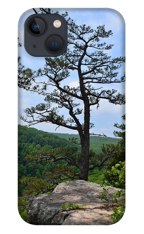 Whitaker Point iPhone 13 Case featuring the photograph Whitaker Point Trail by Laureen Murtha Menzl