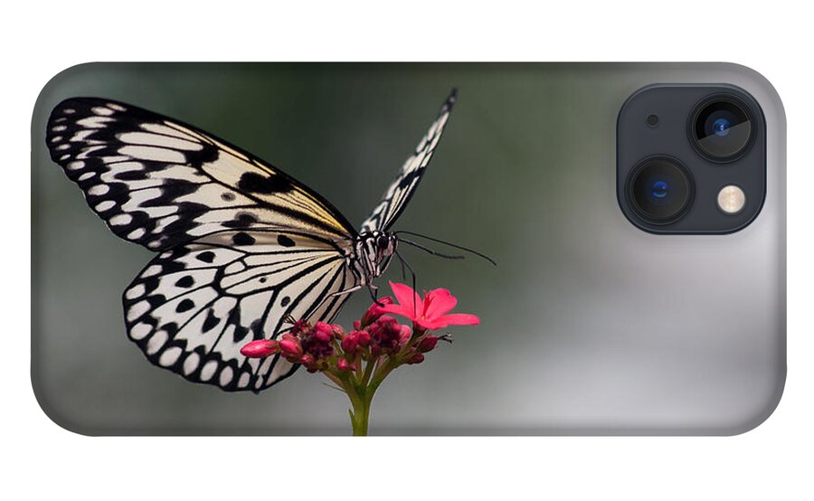 Paper Kite iPhone 13 Case featuring the photograph Paper Kite Butterfly #2 by Tam Ryan