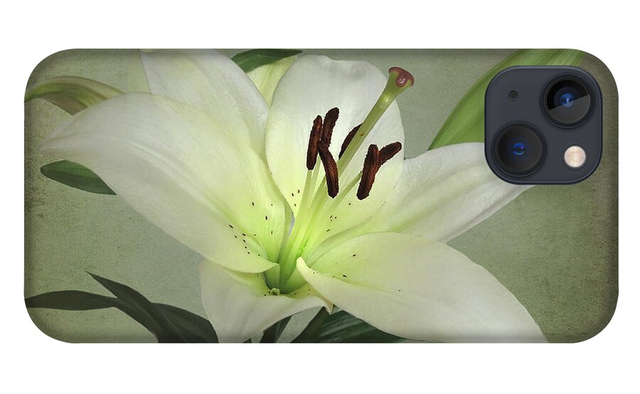 Flower iPhone 13 Case featuring the photograph White Lily by Deborah Smith