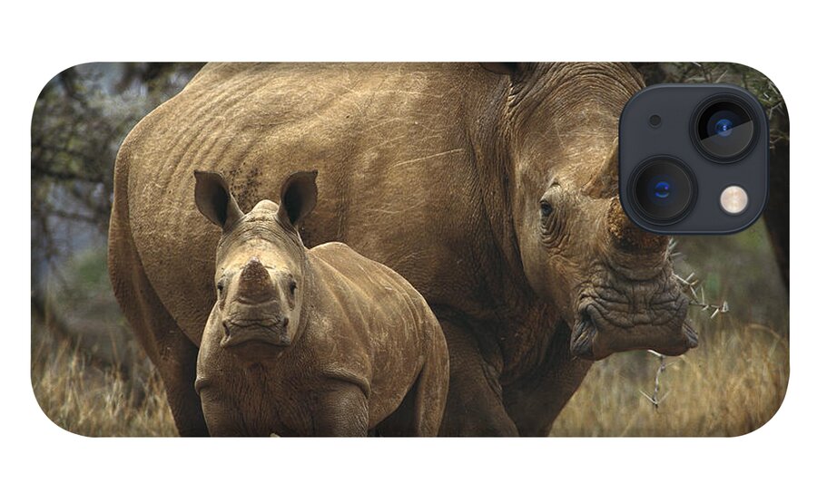 Feb0514 iPhone 13 Case featuring the photograph White Rhinoceros And Baby Lewa Kenya by Gerry Ellis