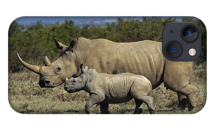 Hiroya Minakuchi iPhone 13 Case featuring the photograph White Rhinoceros And Calf Kenya by Hiroya Minakuchi