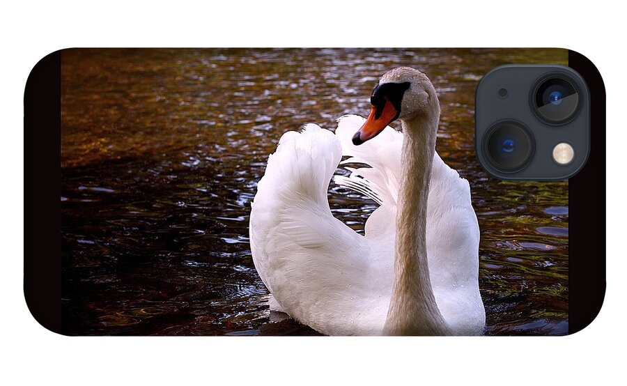 Swan iPhone 13 Case featuring the photograph White Swan by Rona Black