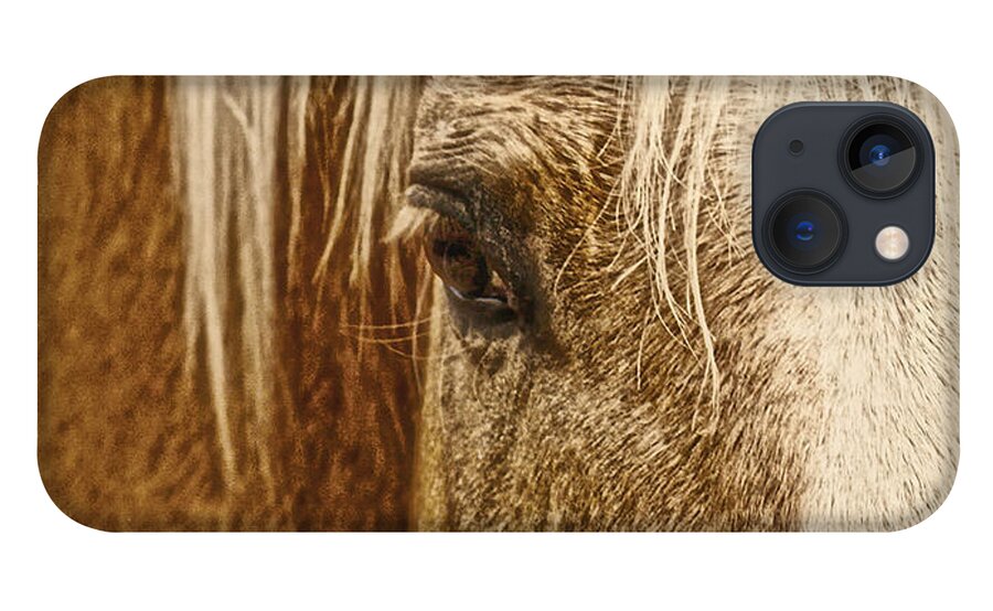 Palomino Horse iPhone 13 Case featuring the photograph Wickenburg's Palomino Gold by Amanda Smith