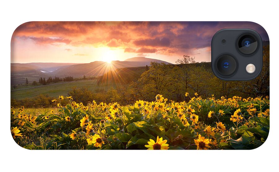 Spring iPhone 13 Case featuring the photograph Wild Flower Delight by Andrew Kumler