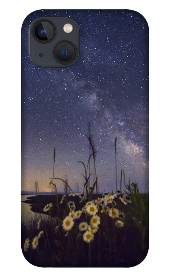 Wild iPhone 13 Case featuring the photograph Wild marguerites under the Milky Way by Mircea Costina Photography