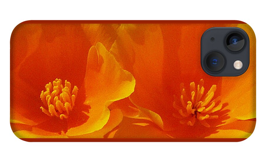 California Poppies iPhone 13 Case featuring the photograph Wild Poppies by Ben and Raisa Gertsberg