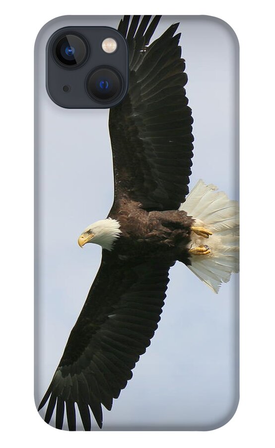 Eagle iPhone 13 Case featuring the photograph Wings by Ryan Smith