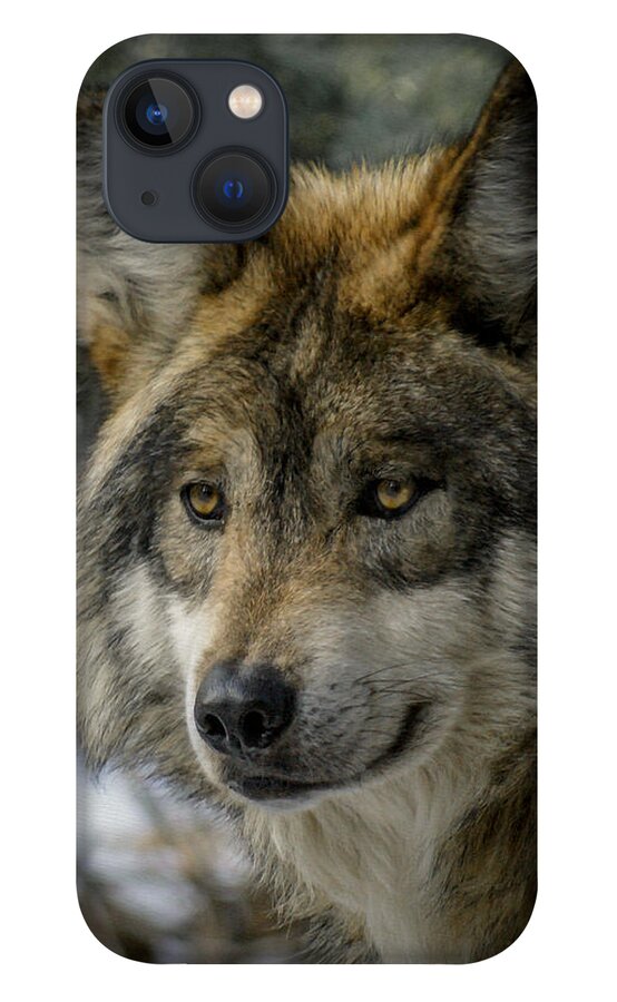 Wolf iPhone 13 Case featuring the photograph Wolf upclose 2 by Ernest Echols