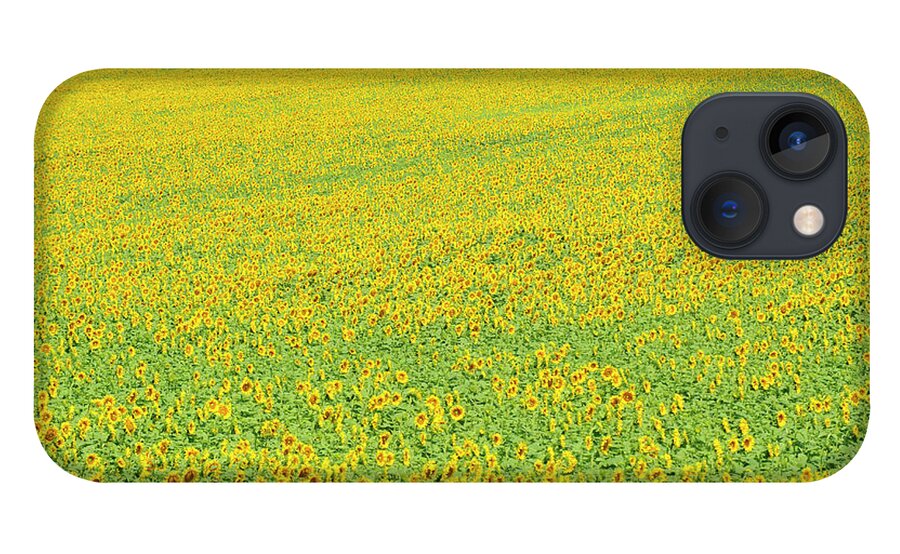 Scenics iPhone 13 Case featuring the photograph Yellow Sunflower Field by Dennis Macdonald