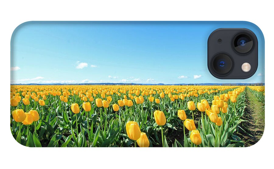 Skagit Tulip Fesitival 2013 iPhone 13 Case featuring the photograph Yellow Tulips by E Faithe Lester