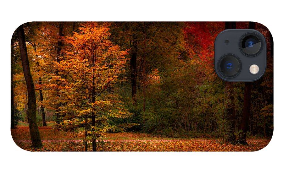 Autumn iPhone 13 Case featuring the photograph Youth by Hannes Cmarits