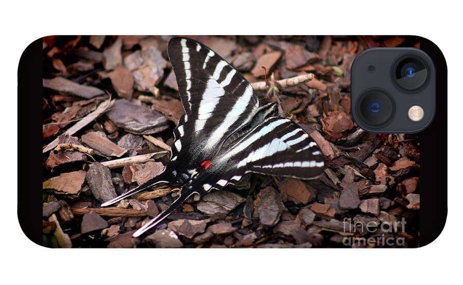 Zebra Swallowtail iPhone 13 Case featuring the photograph Zebra Swallowtail Butterfly by Karen Adams
