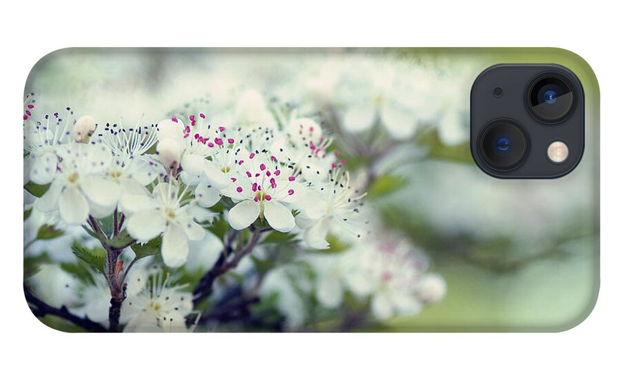 Blossoms iPhone 13 Case featuring the photograph Blossom by Joel Olives