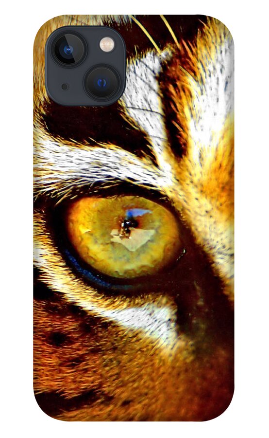 Tiger iPhone 13 Case featuring the photograph Tigers Eye #1 by Marlo Horne